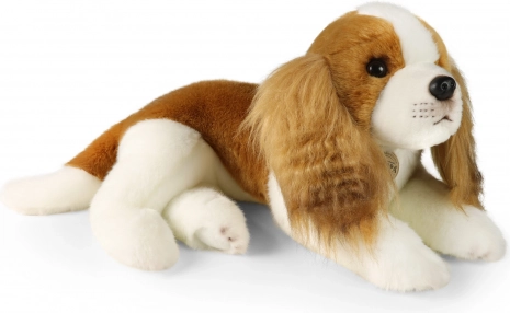 Pluchen hond Cavalier King Charles Spaniël 40 cm van RAPPA
