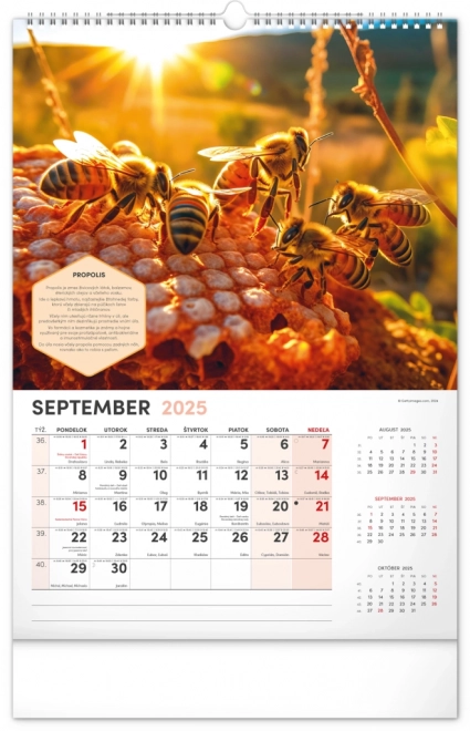 NOTIQUE Muur Bijenteelt Kalender 2025, 33 x 46 cm