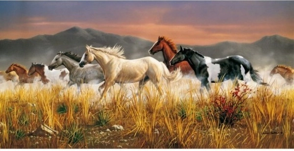 Puzzel Wilde paarden – daverende kudde 13224 stukjes CLEMENTONI