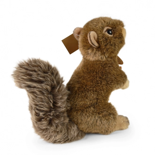 Pluche eekhoorn met noot 20 cm ECO-VRIENDELIJK