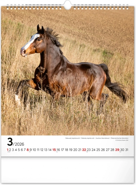Wandkalender Paarden 2026