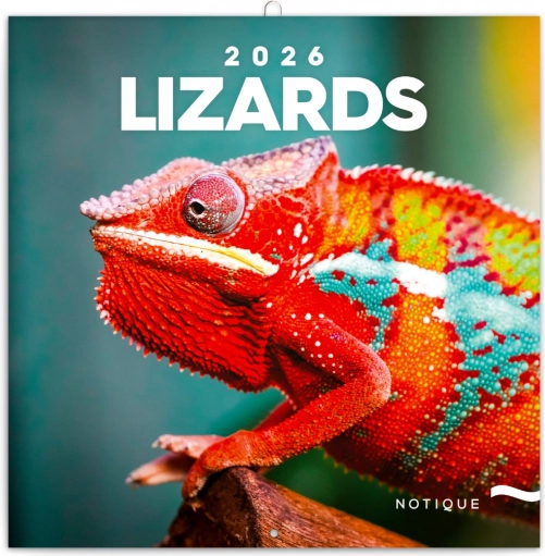 Aantekeningenkalender Hagedissen 2026