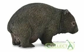 Vombat Medvedovitý Collecta