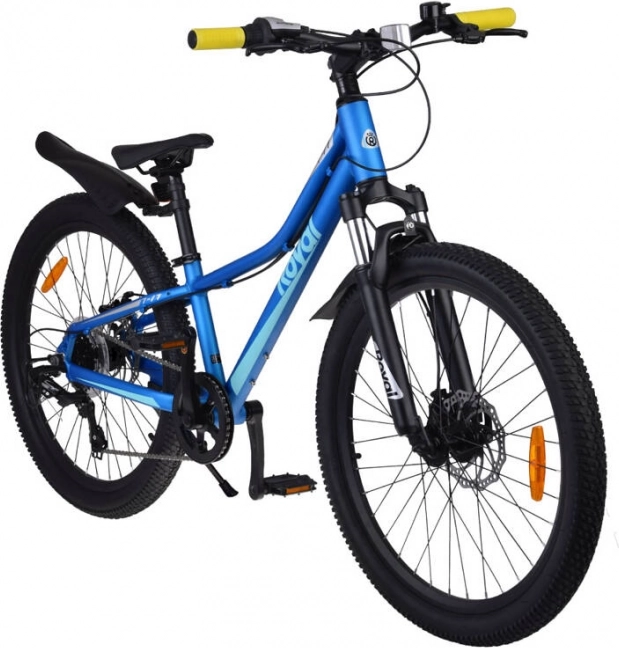 Fiets voor jongeren RoyalBaby Student 24"
