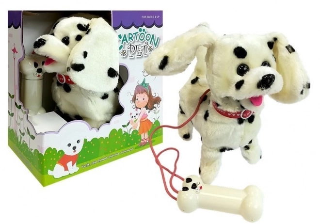 Dalmatiër geleid door Pilot Bone