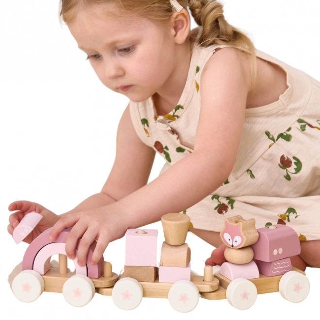 Viga PolarB roze treinset met wagons en blokken