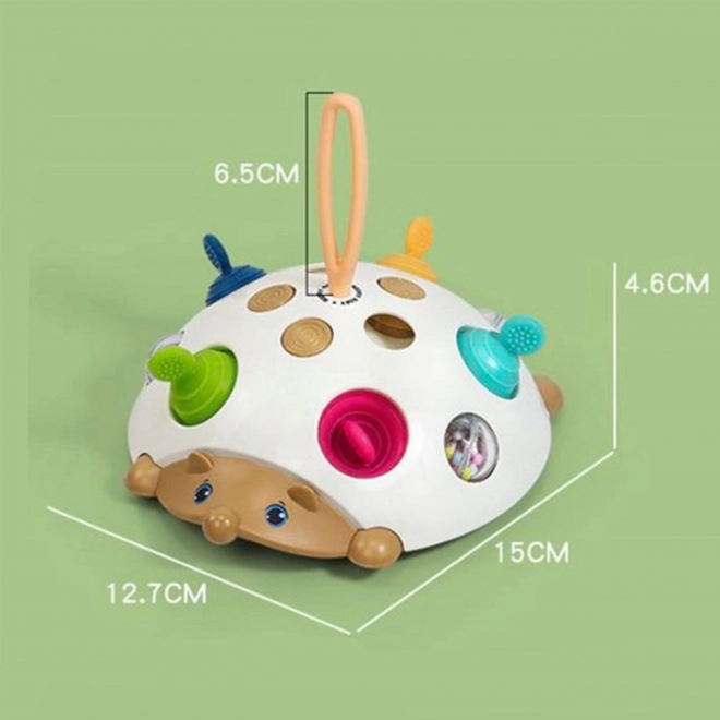 Sensorisch speelgoed Egel 4-in-1 Pop-it Actief