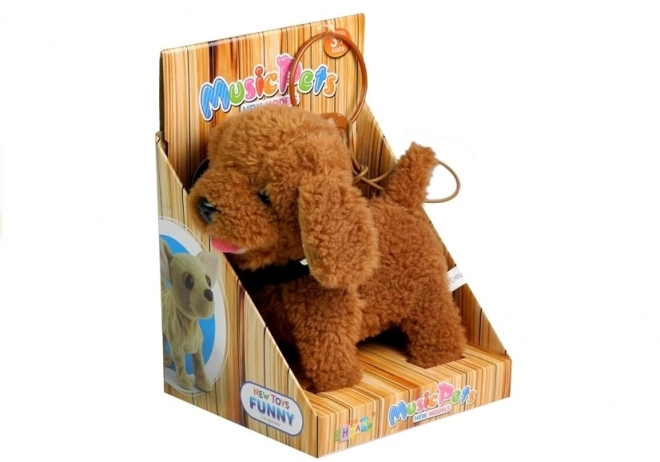 Interactieve Hond Hond aan de Leash Bruine Poedel