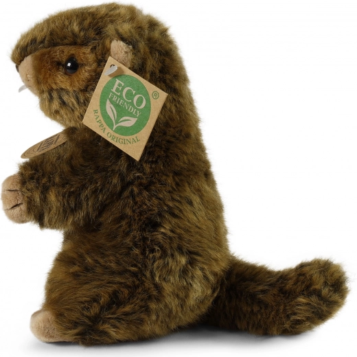 Realistische en schattige afwerking