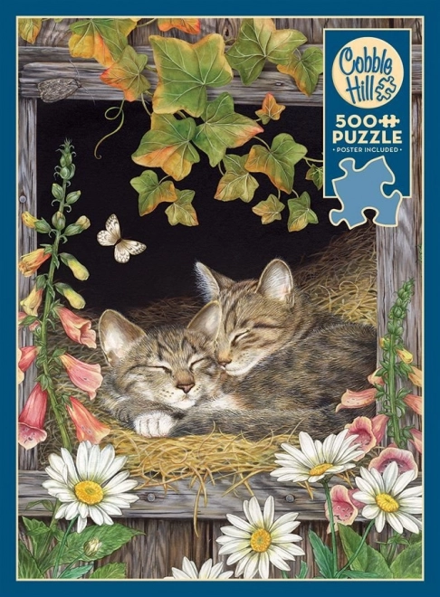 Puzzel Zusters 500 stukjes van Cobble Hill