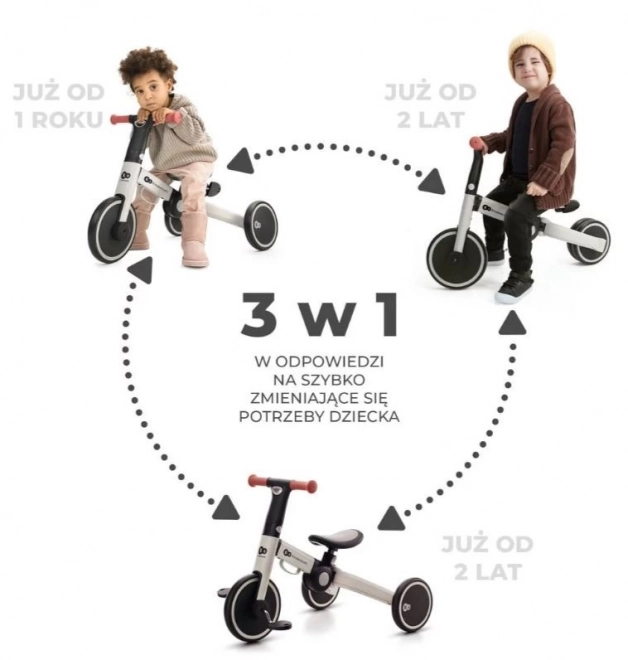 Driewieler 4TRIKE SILVER GREY