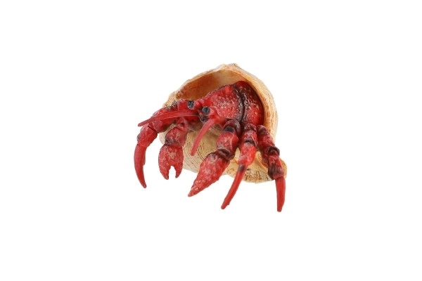 Heremietkreeft zooted plast 7cm in zak