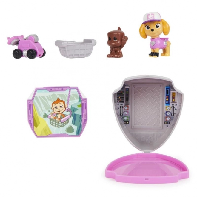 Paw Patrol grote vrachtwagenfiguren met accessoires