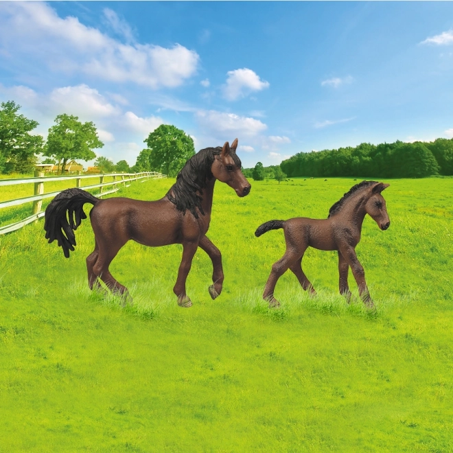 Set speelgoedpaarden met omheining