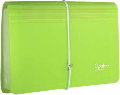 Documentenorganizer met elastiek transparant-groen