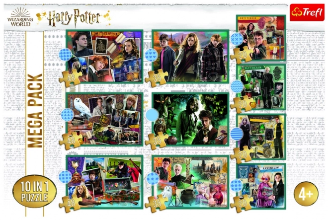 Puzzel Harry Potter - In de wereld van Harry Potter 10-in-1