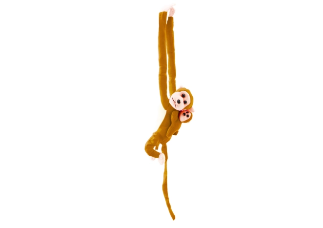 Schattig design