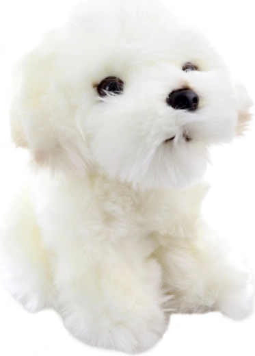 Realistische details van een schattige pup