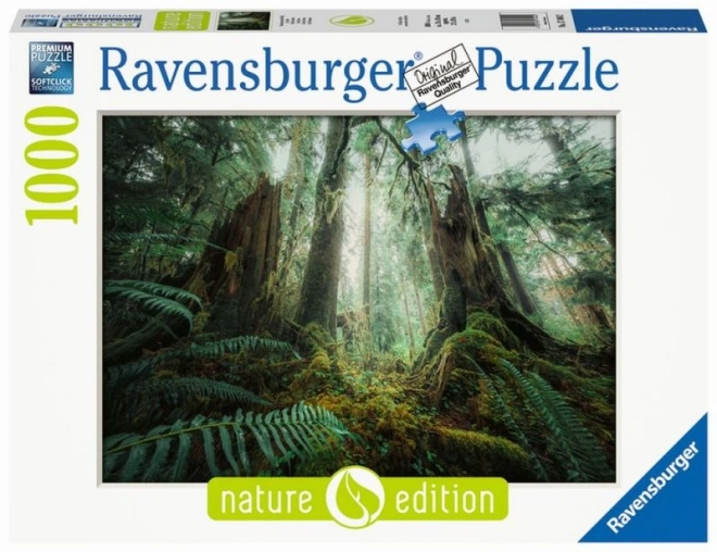 Puzzel 1000 stukjes Bossen Ravensburger