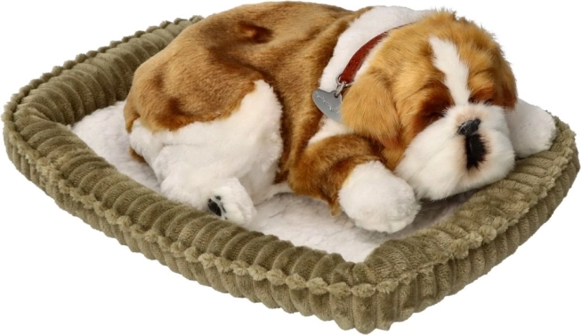 Ademend buldogpuppy