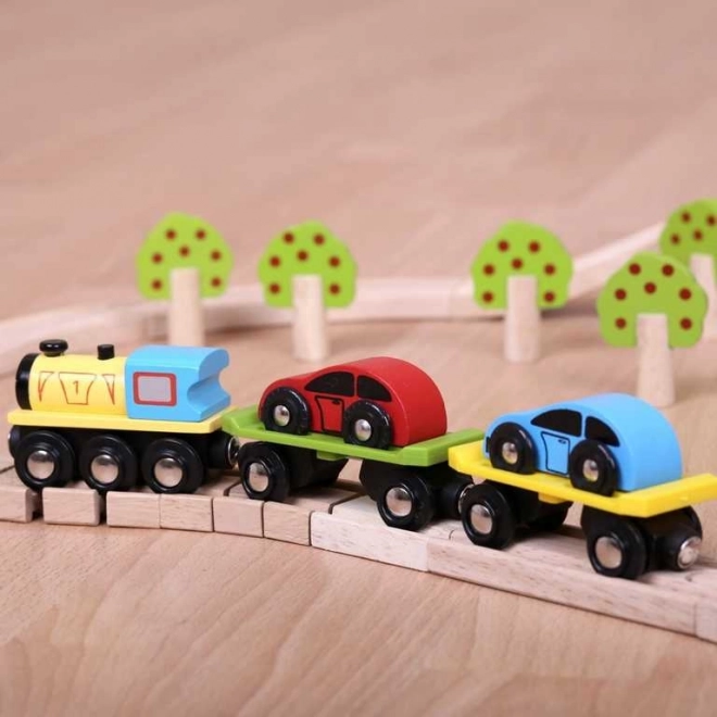 Bigjigs Rail Goederentrein met auto's en rails