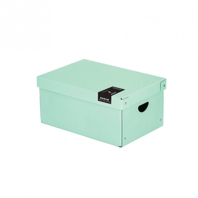Grote gelamineerde doos PASTELINI groen