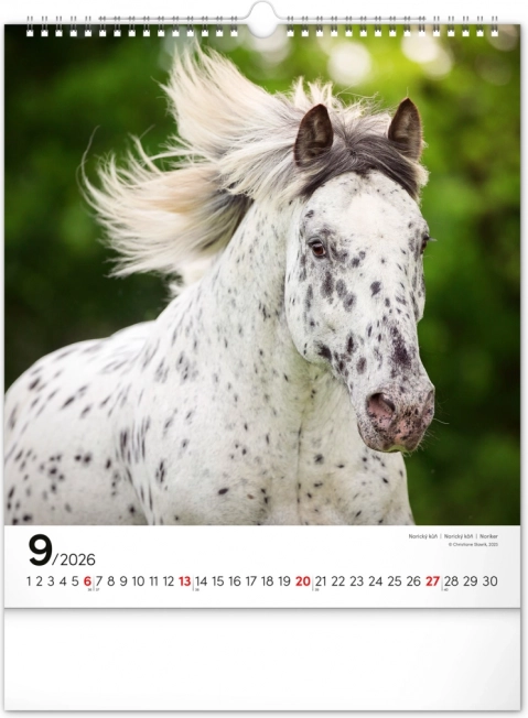 Wandkalender Paarden 2026
