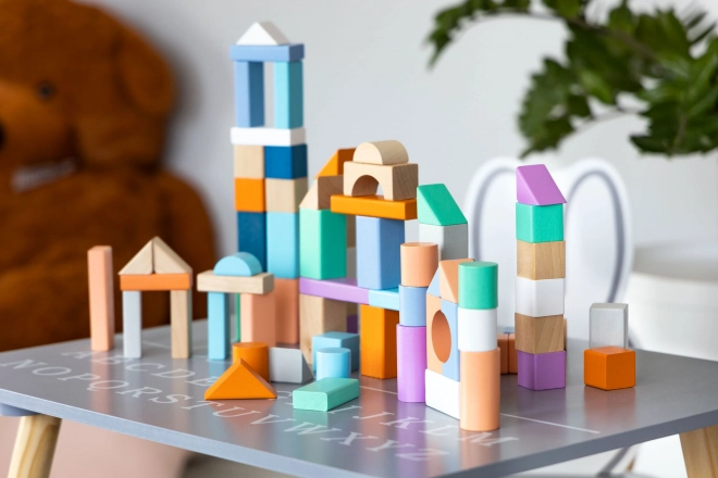 Houten blokken 100 st met emmer inclusief sorteerder Ecotoys