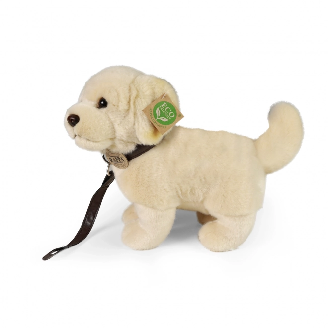 Pluchen hond Golden Retriever met riem 25 cm