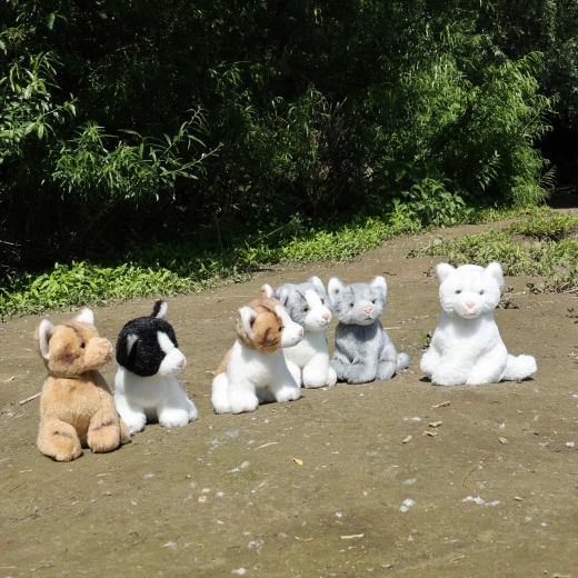 Zes prachtige varianten voor iedereen