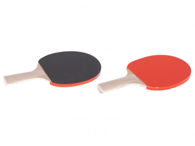 Set voor tafeltennis - net en peddels met ballen