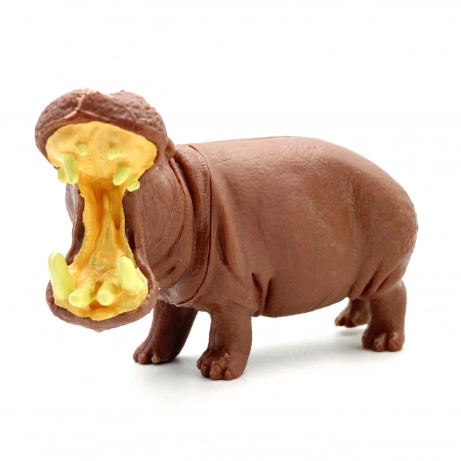 Set dieren WOOPIE XXL 58 stuks
