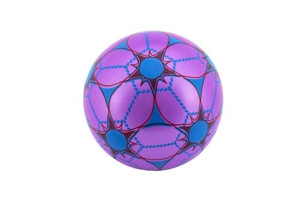 Gekleurde niet-opgeblazen rubberen bal in net - 23 cm