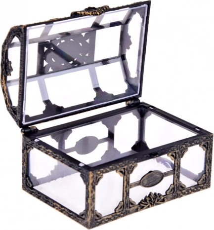 Transparante decoratieve kist