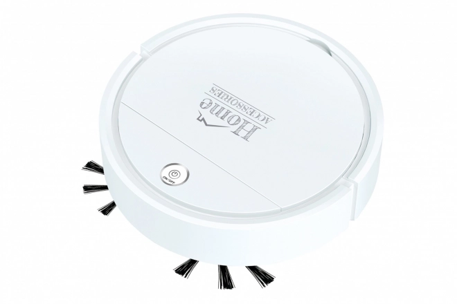 Huishoudelijke robot Home