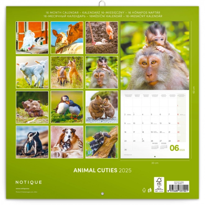 Notitie Kalender Kleintjes 2025, 30 x 30 cm