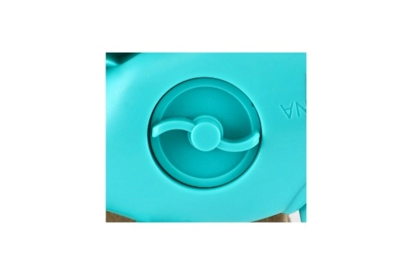 Plastic kameleon opwindbaar voor water voor kinderen
