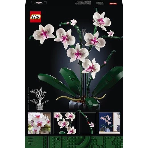 LEGO Icons 10311 Orchidee