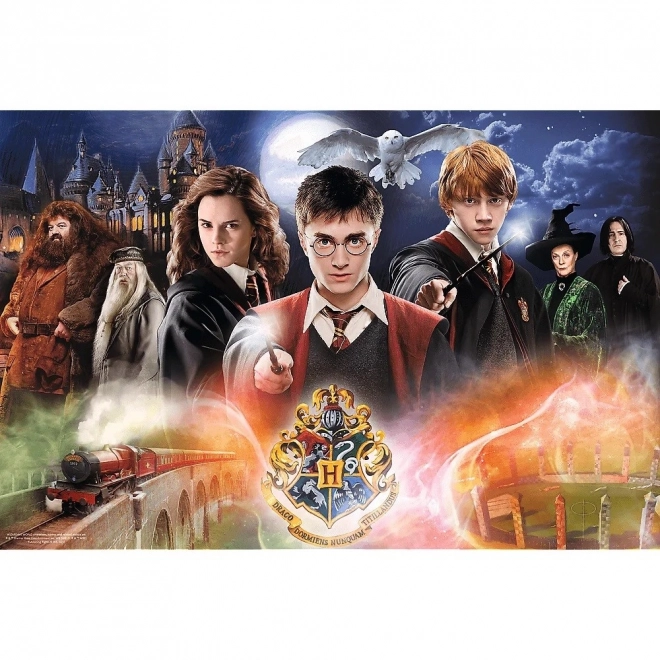Mysterieus Harry Potter-puzzel 300 stukjes