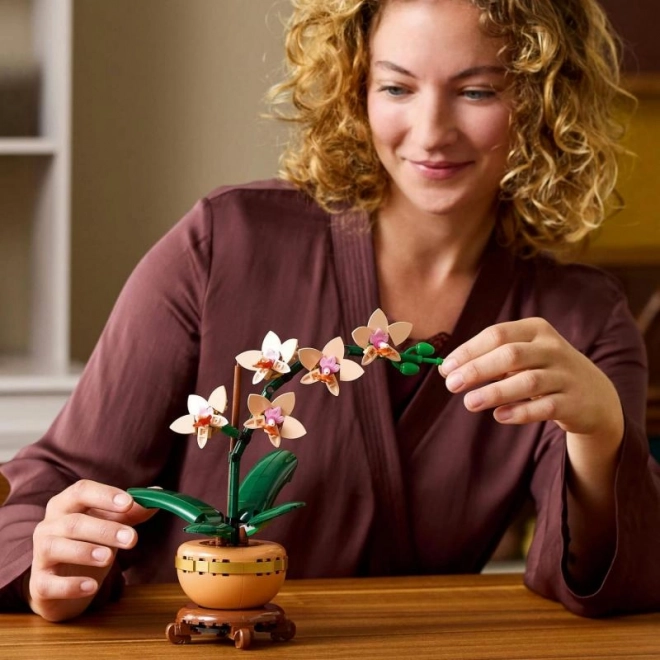 Lego Botanicals Kleine Orchidee