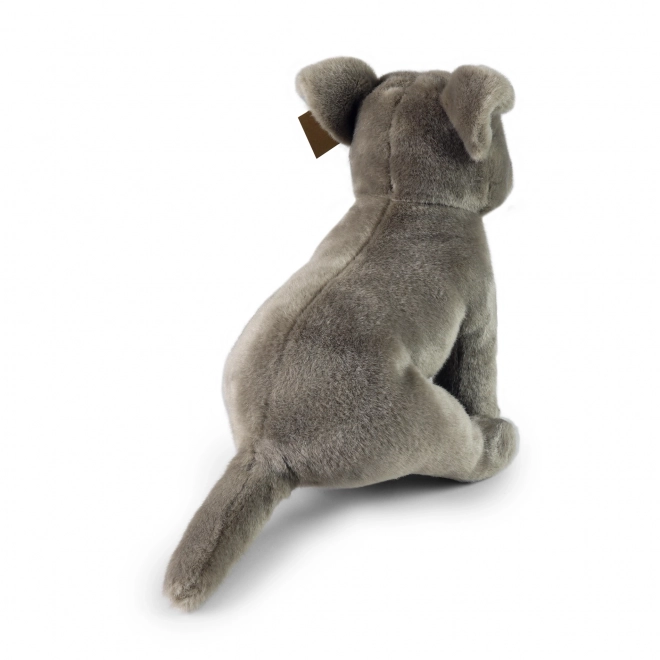 Pluche hond Staffordshire bullterriër 30cm ECO-VRIENDELIJK