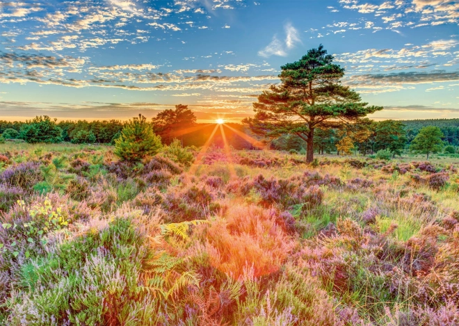 Puzzel Zonsondergang op de Hei