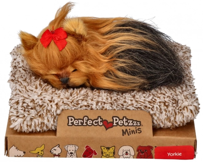 Perfecte kleine York puppy knuffel