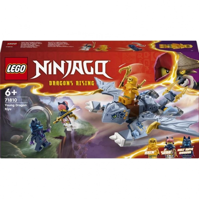 Bouwset LEGO Ninjago Draakje Riyu