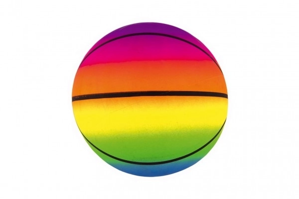 Opblaasbare rubberen basketbal 20cm met net