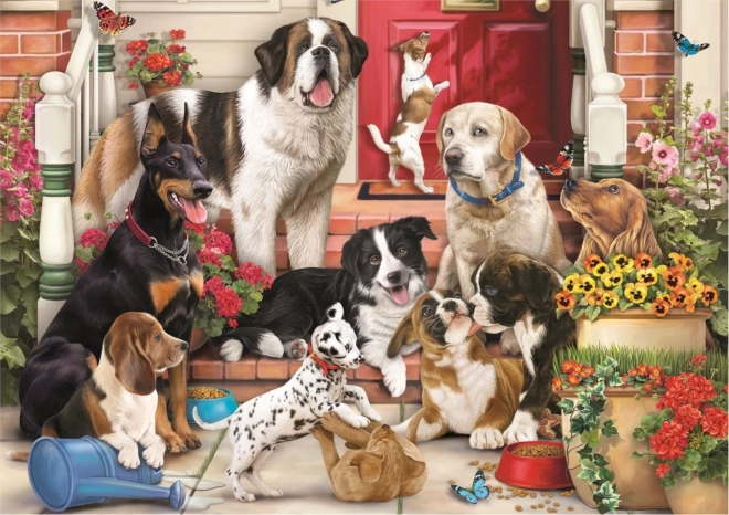 Puzzel verborgen vormen hond plezier