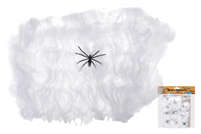Halloween spinnenweb met spin