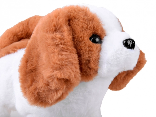 Interactieve Beagle Puppy met Uitrusting