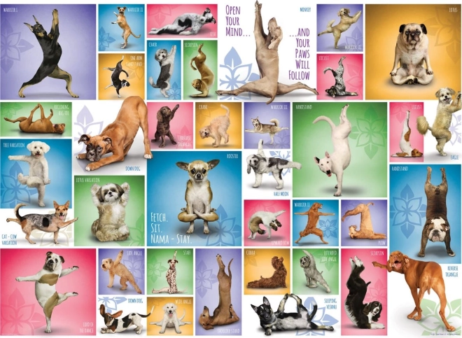 Puzzle EUROGRAPHICS Hondenyoga 1000 stukjes