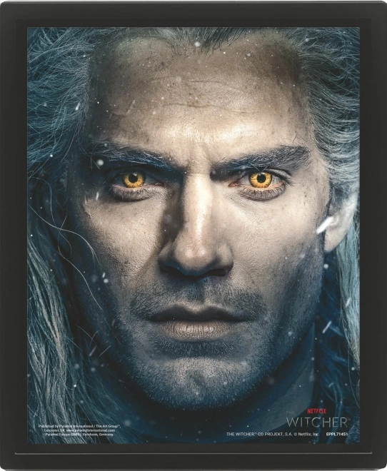 3D schilderij The Witcher 2